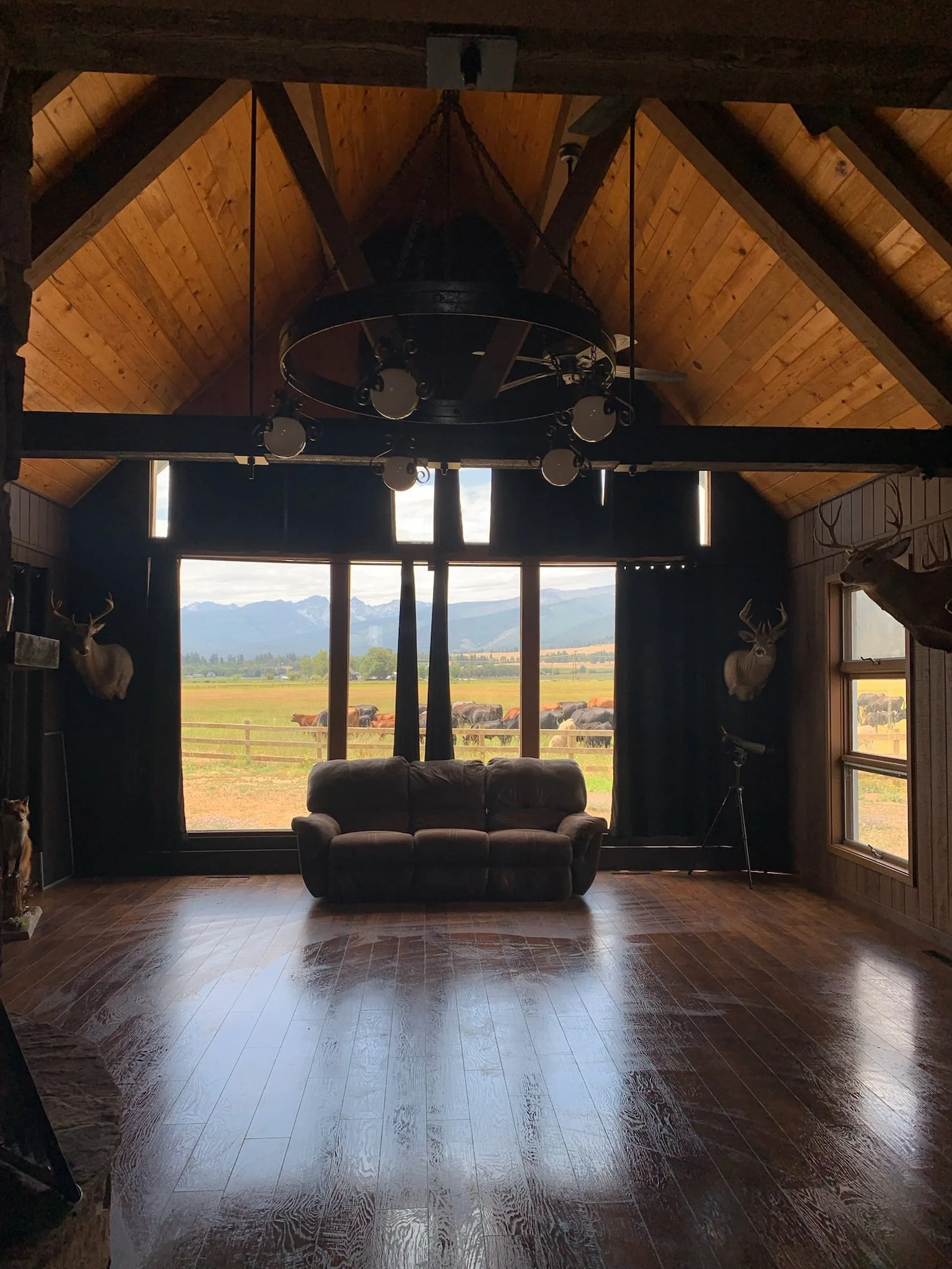 A cleaned Montana living room with vaulted wood ceiling and mountain view